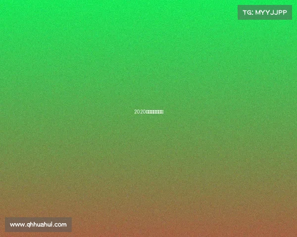 2020年功夫盛典决赛